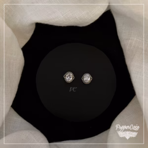 Zyanya Collection