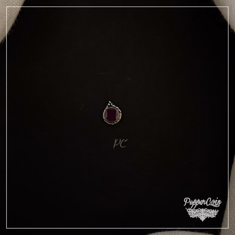 Khaana-Ba-Dosh - Image 5