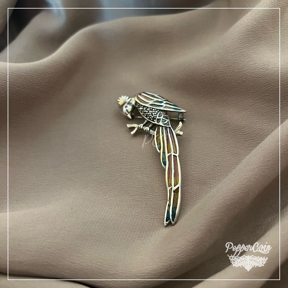 WhatsApp Image 2025-05-21 at 3.58.44 PM